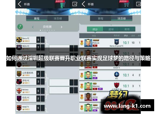 如何通过深圳超级联赛晋升职业联赛实现足球梦的路径与策略